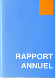 Rapport Annuel Exercice 2019