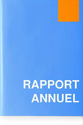 Rapport Financier Annuel 2020